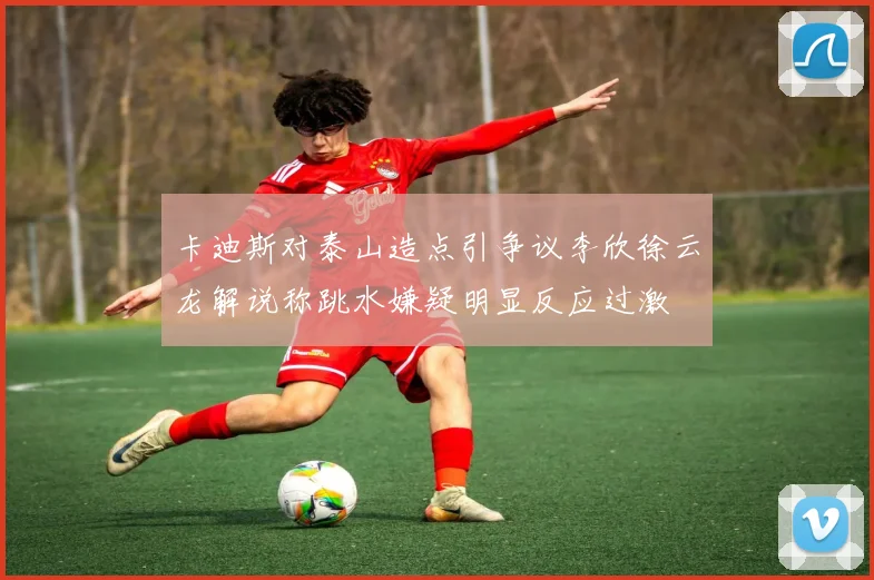 卡迪斯对泰山造点引争议李欣徐云龙解说称跳水嫌疑明显反应过激