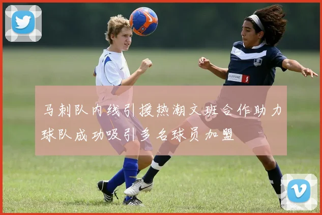 马刺队内线引援热潮文班合作助力球队成功吸引多名球员加盟